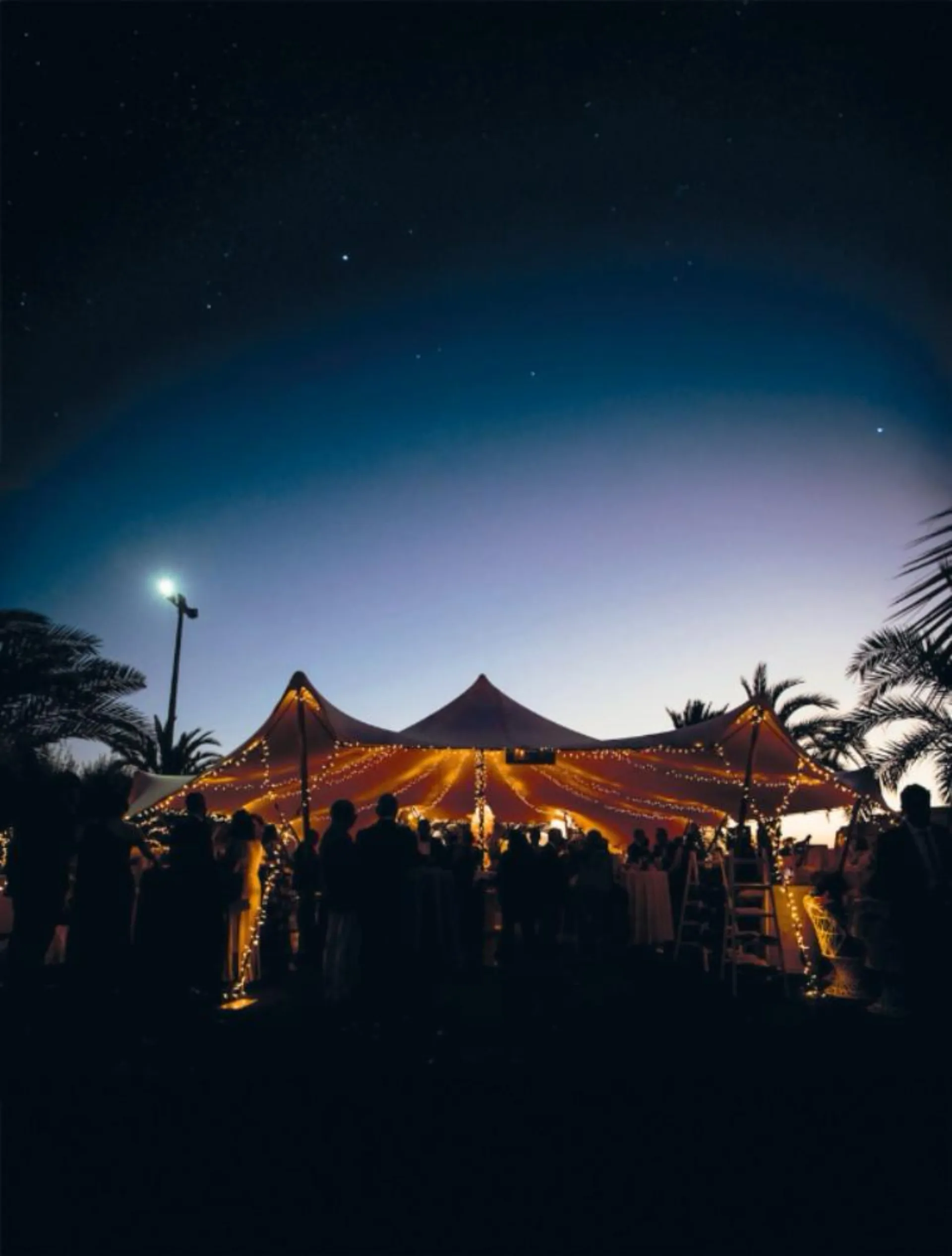 Carpa Oasis iluminada durante evento nocturno