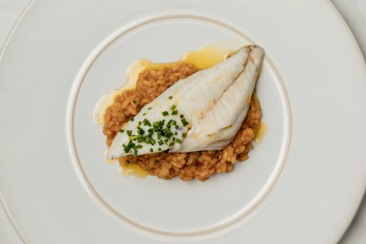 Arroz meloso con lubina del Mar Menor